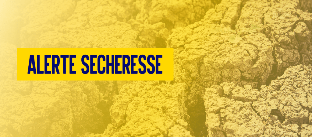 alerte secheresse